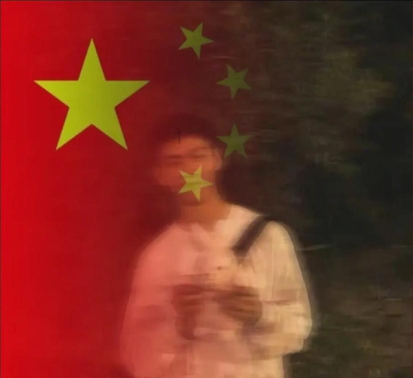 萌宠好又多