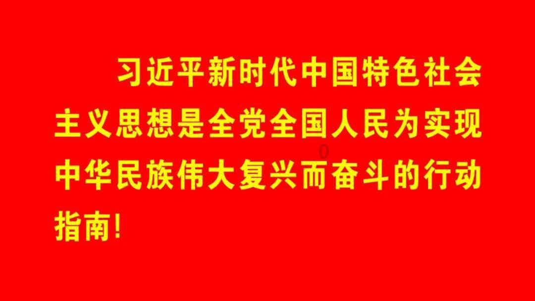 萌宠大连接